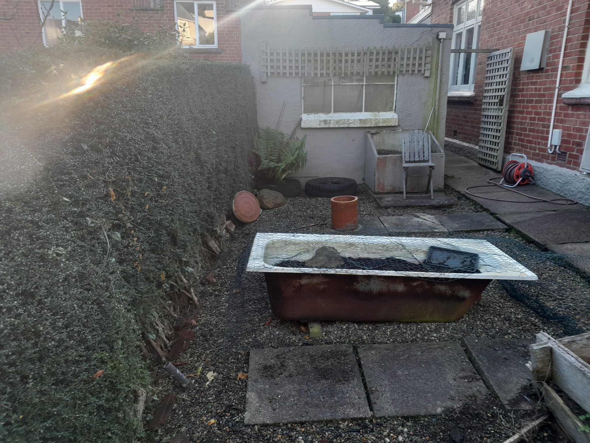 Hedge Trimming