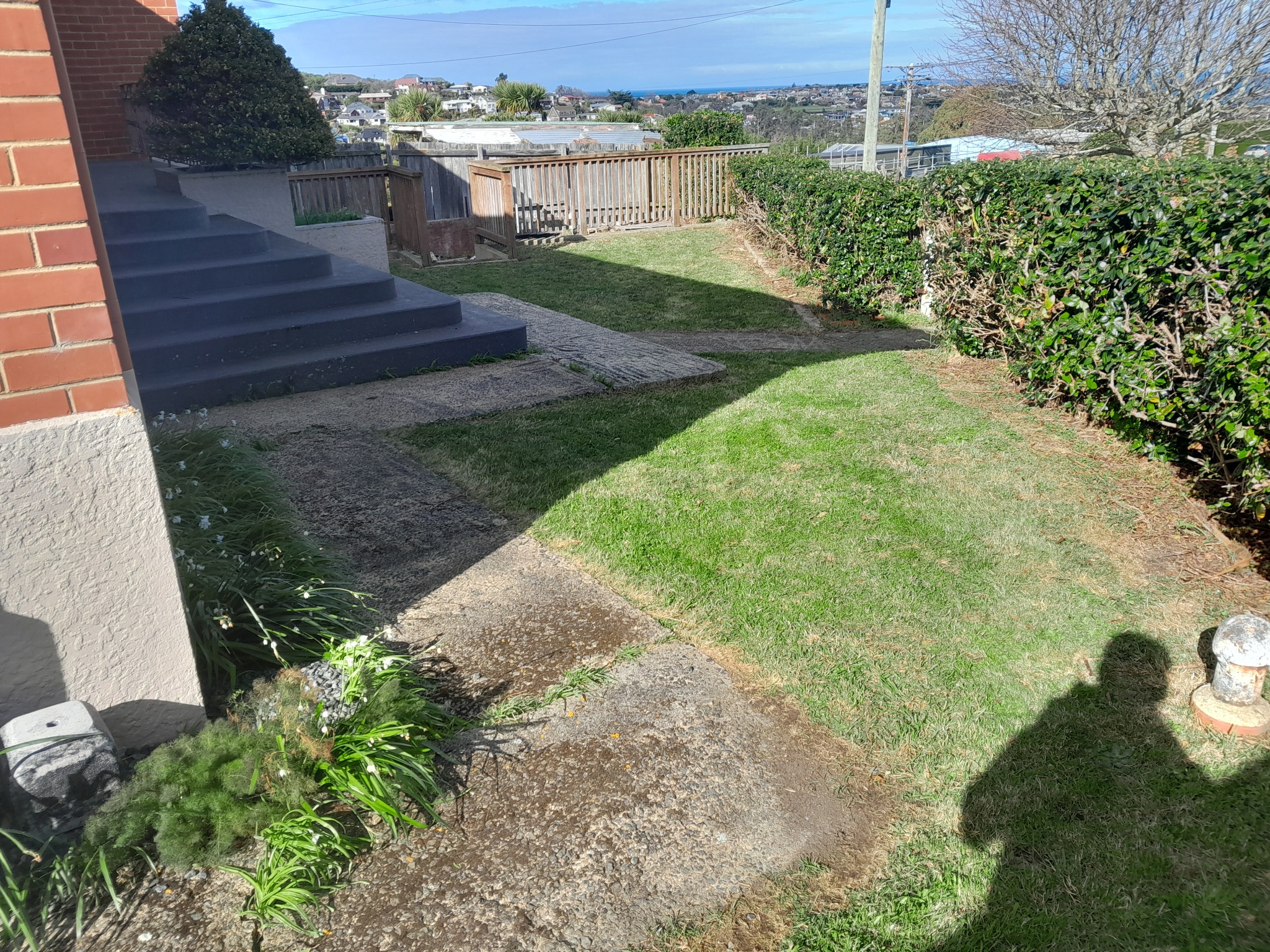 Lawn Mowing